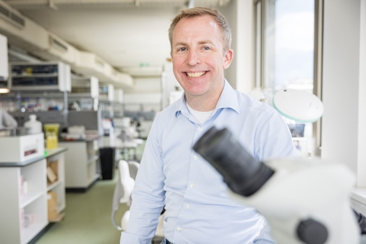 Profilbild - Sébastien Couillard-Després